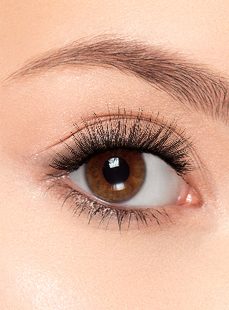 We Clique Magnetic Lashes